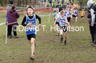 Boys under-13s, 2020 British Athletics Inter Counties Cross Country Champs., Prestwold Hall, Loughborough. Photo: David T. Hewitson/Sports for All Pics